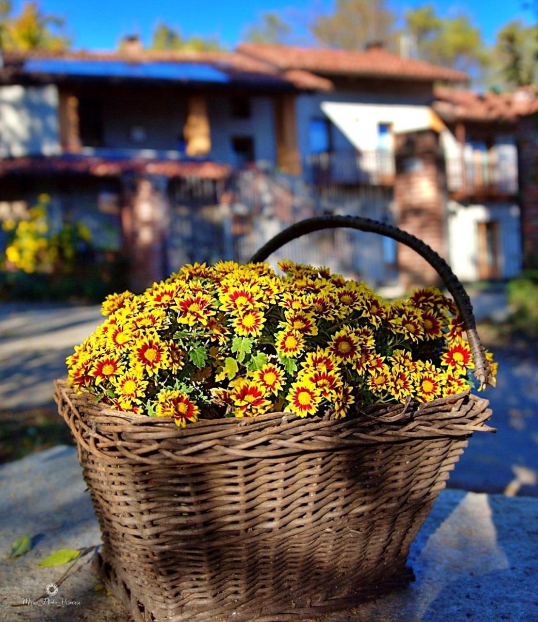 B&B Le Mimose Bricherasio Ngoại thất bức ảnh